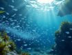 découvrez les effets secondaires potentiels de l'huile de krill superba boost. informez-vous sur les précautions à prendre et les bénéfices de ce complément alimentaire pour une santé optimale.