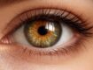 découvrez comment se forment les yeux hazel, mélange unique de pigments marron et vert, et comprenez la science derrière cette couleur captivante.