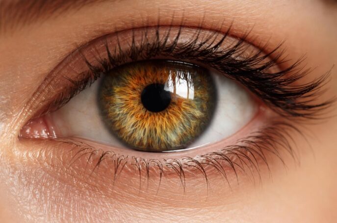 découvrez comment se forment les yeux hazel, mélange unique de pigments marron et vert, et comprenez la science derrière cette couleur captivante.